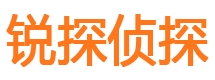 乌达市侦探公司